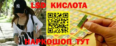 прущие грибы Первоуральск