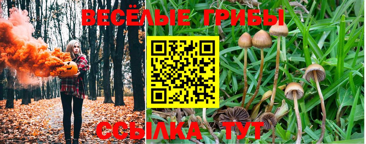 Светлоград  Галлюциногенные грибы Cubensis  Вход с VPN 