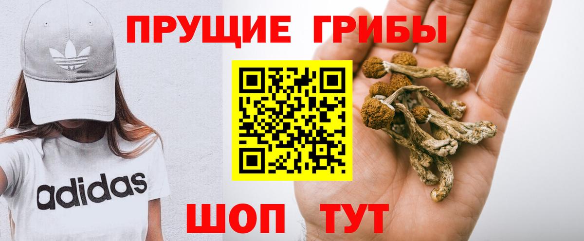 Псилоцибиновые грибы MAGIC MUSHROOMS Светлоград