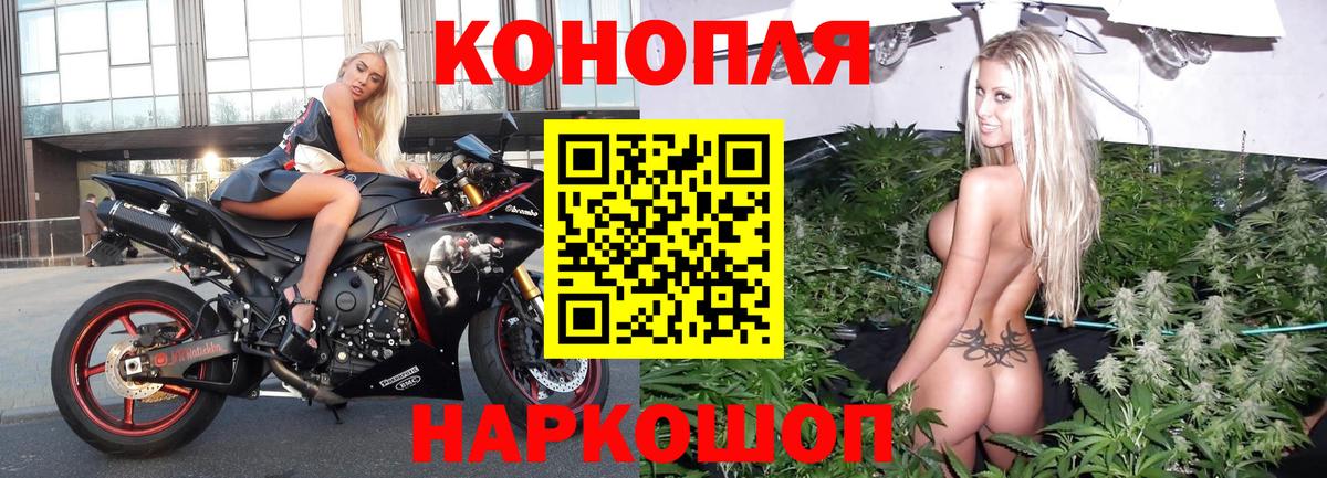 Каннабис план  Канабис MAZAR  Канабис Ganja  Светлоград  Канабис OG Kush  Вход с VPN 